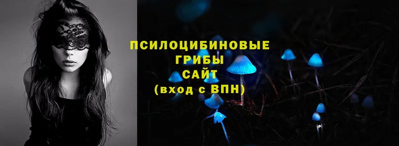 Галлюциногенные грибы MAGIC MUSHROOMS  МЕГА онион  Ртищево 